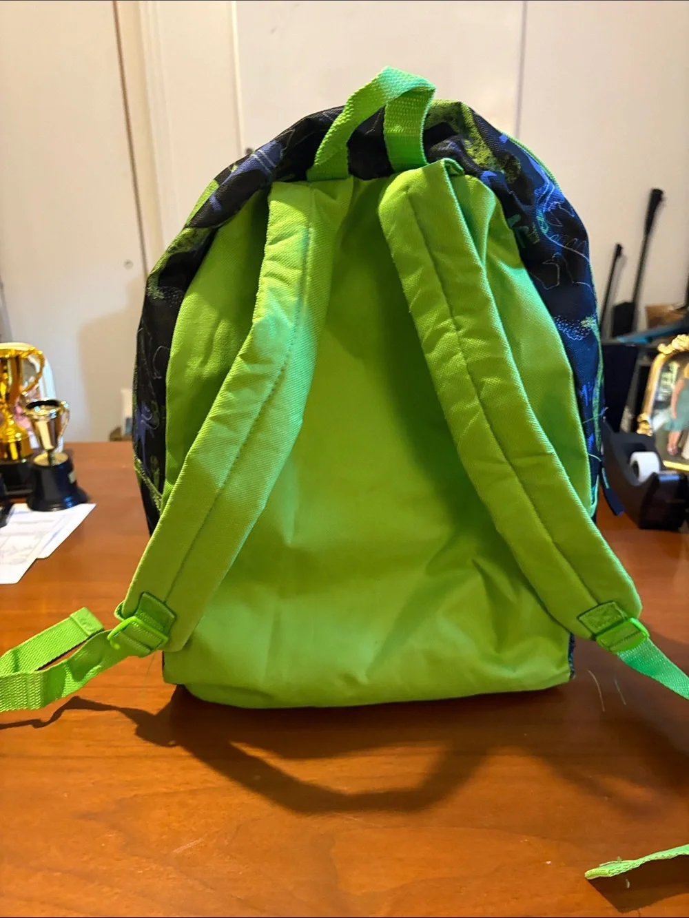 Dinosaur Designs Kids Backpack in Green & Blue